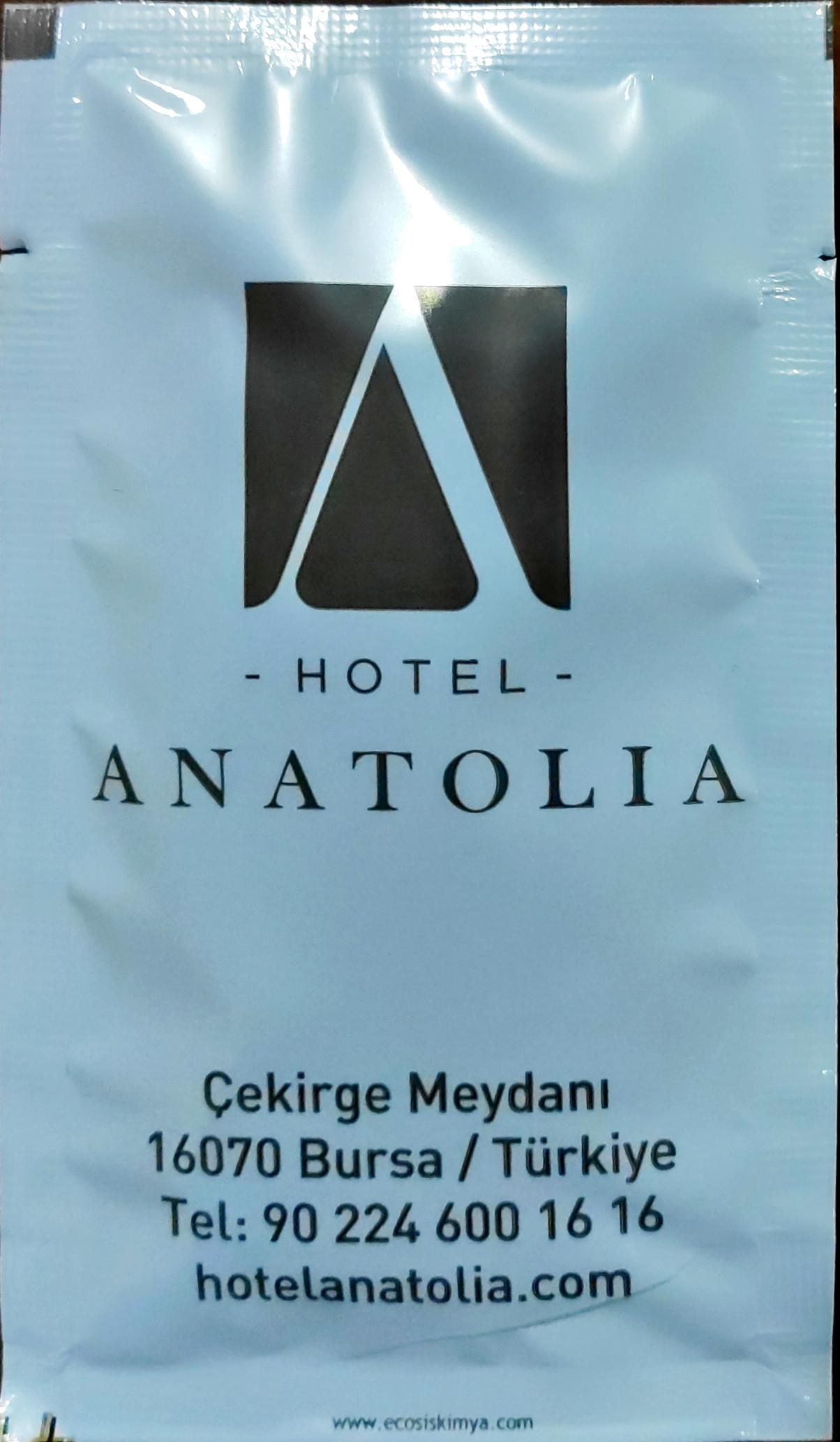 0672 Anatolia - Bursa